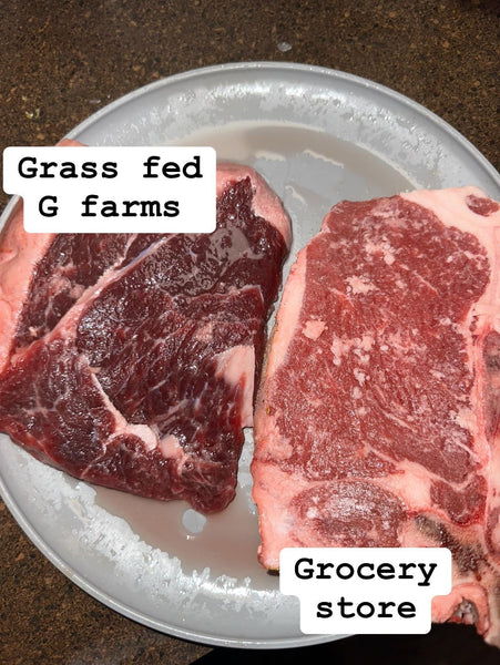Grass fed or modified meat… What are you eating? Part 1