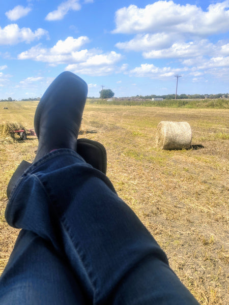 My first year on the farm