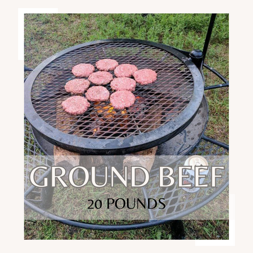20 package ground beef deal