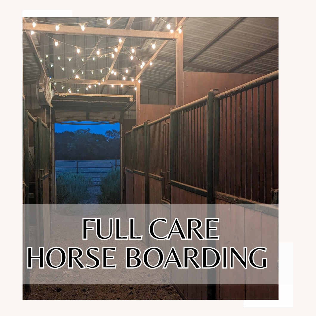 Full care horse boarding