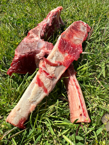 Bones